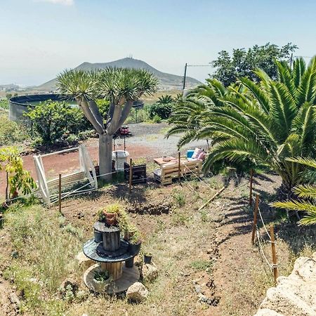 Apartamento B Armonia Rural Granadilla De Abona Exterior foto